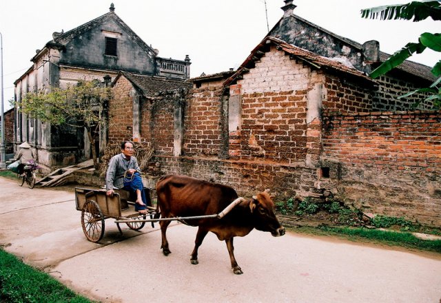 Tour du lịch Làng Cổ Đường Lâm 1 ngày