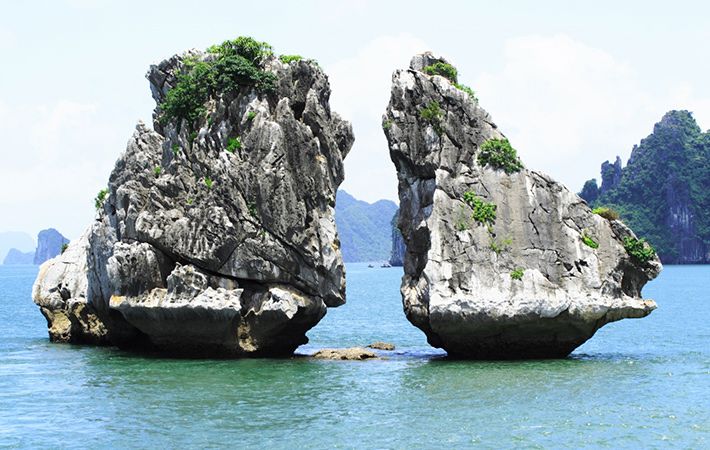 Cho thuê tàu du lịch tham quan Vịnh Hạ Long