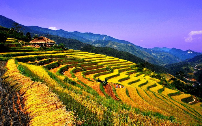 Tour du lịch Pù Luông 1 ngày